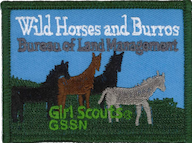 Wild Horses and Burros Patch Program