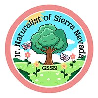 Jr. Naturalist of Sierra Nevada GSSN with a tree and butterflies