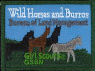 Wild Horses and Burros Patch Program