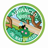 Jr. Naturalist of Sierra Nevada GSSN with a tree and butterflies