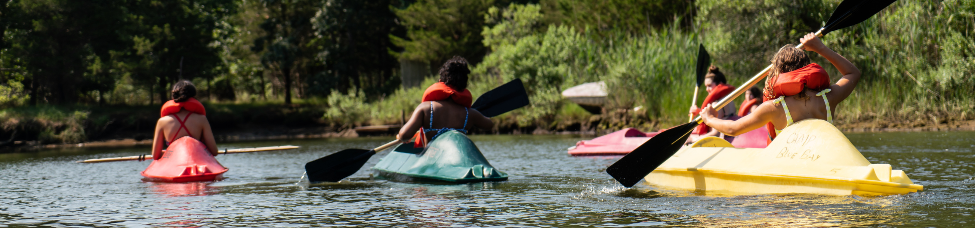  Girl scouts and the environment 